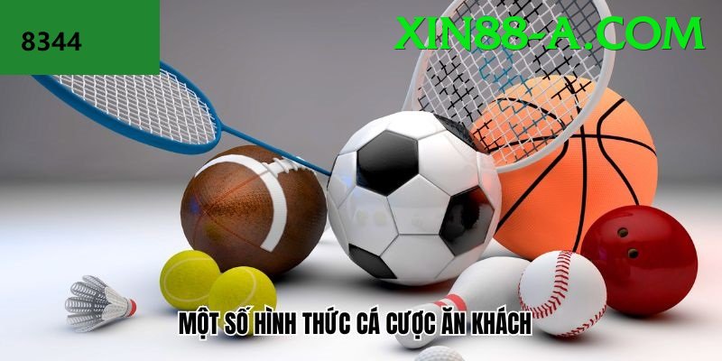Cá Cược Thể Thao - xin88